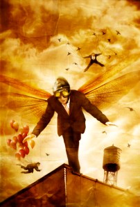 Taking Flight by Vincent Chong